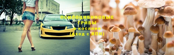 сатива Абинск
