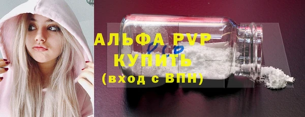 сатива Абинск