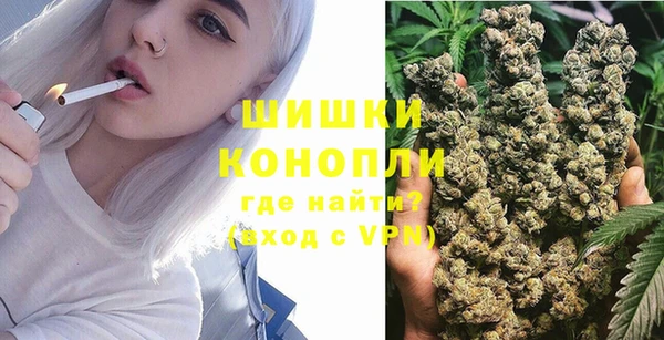 сатива Абинск