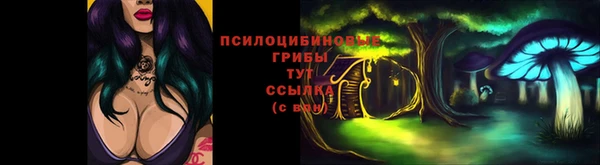 ALPHA PVP Алзамай