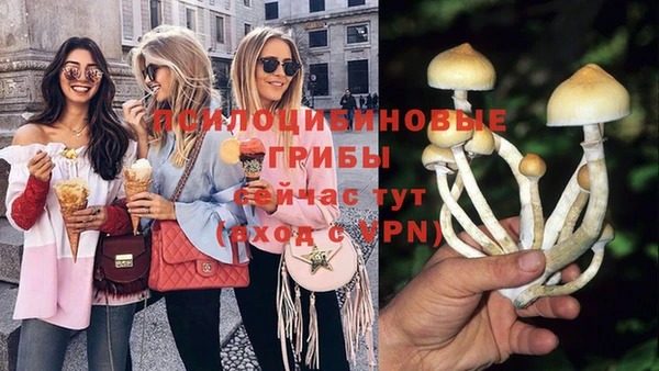 герыч Абаза