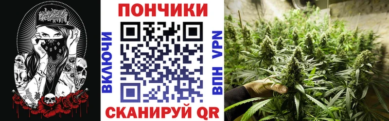 Бошки марихуана SATIVA & INDICA  продажа наркотиков  OMG как зайти  Гусь-Хрустальный 